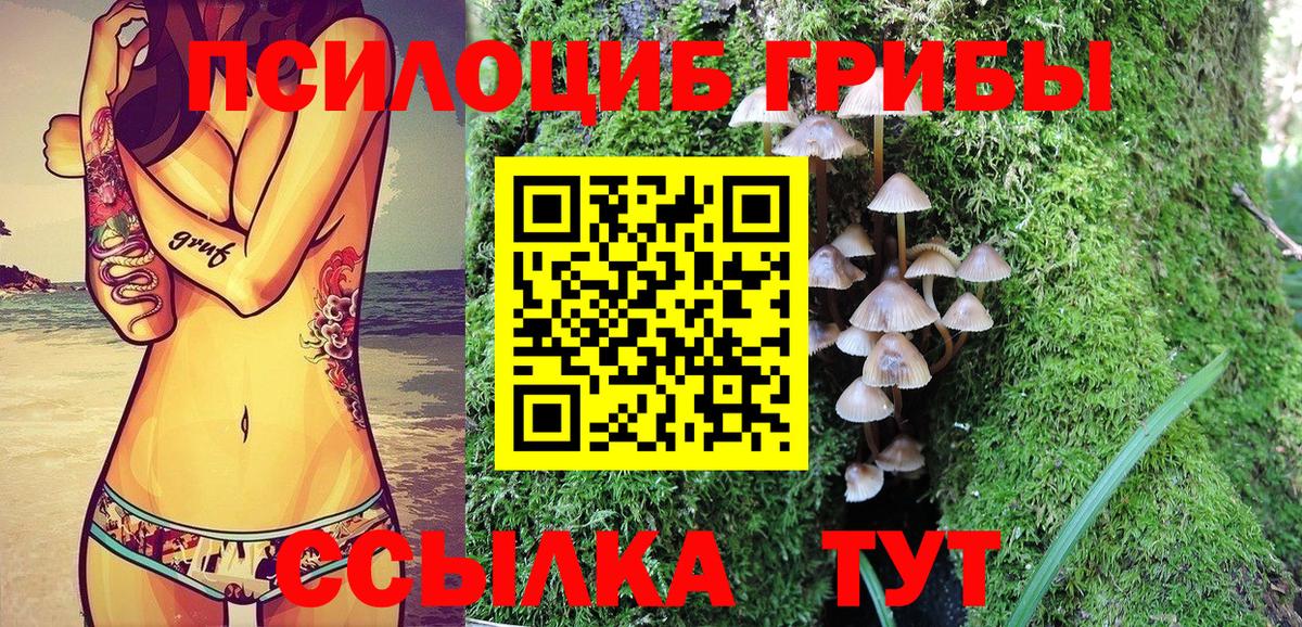 что такое   Псилоцибиновые грибы мухоморы  Вход с VPN  Сергиев Посад  Галлюциногенные грибы GOLDEN TEACHER 