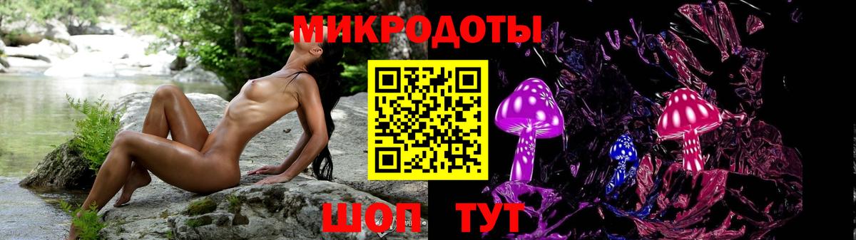 Галлюциногенные грибы Psilocybe Сергиев Посад